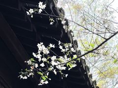 -惠山古镇·寄畅园