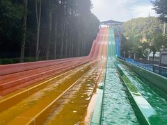 -重庆海昌加勒比海水世界