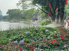 -荔湾湖公园