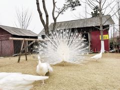 -武汉园博园(武汉自然博物馆)