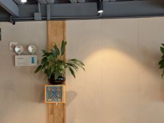 -金塔傣乡·云南民族特色菜·傣味手抓饭(金瓦路店)