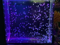 -欢乐海岸海洋奇梦馆