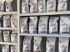 -宠颐生中康贝怡动物医院