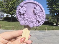 -国家植物园南园