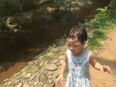 -滴水岩森林公园