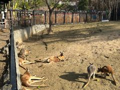 -武汉动物园