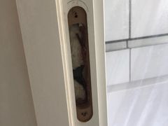 -索菲亚衣柜橱柜家具全屋定制(汶水红星店)