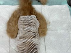 -天津前进宠物医院(前进道店)