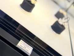 -BLACKSWAN黑天鹅(环球店)