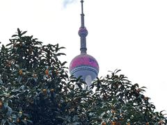 -上海凯宾斯基大酒店