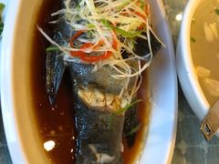 高原雪山鱼-小厨子私房菜·云南美食店