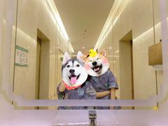 -华夏良子·足道SPA艾灸(三里屯店)