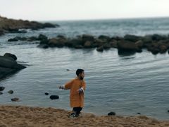 -广东惠东海龟国家级自然保护区