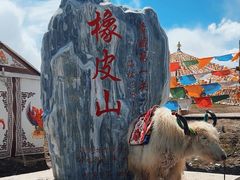 -橡皮山