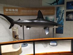 -音乐派KTV(盱眙皇剑国际店)