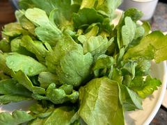 -百草滩羊清水涮羊肉·清真·宁夏盐池滩羊(莲花桥店)