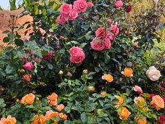 -人民公园(罗湖区)