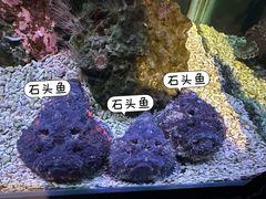 -海合安武汉极地海洋公园
