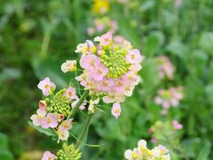 -中国天府农业博览园