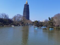 -红梅公园