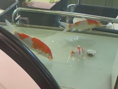 -口福饺子烤鸭(恒大御湖庄园店)