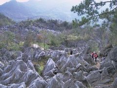 -千岛湖石林