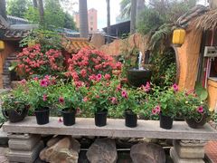 -园林美食城·本土农家菜(杨和镇店)