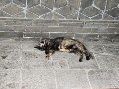 -万寿八仙宫