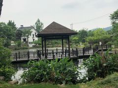 -石塘人家