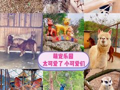 -佛冈森波拉度假区