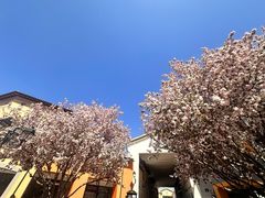 -京津佛罗伦萨小镇