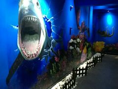 -船奇蒸汽海鲜·闽菜(八市海鲜总店)