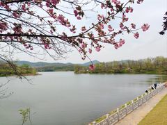 -佛手湖郊野公园