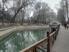 -迎泽公园