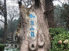 -淄博聊斋城景区