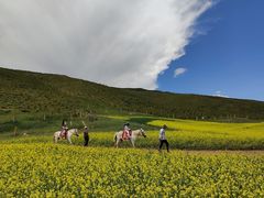 -扁都口生态休闲旅游区