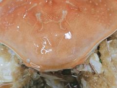 -香山湖渔家大院