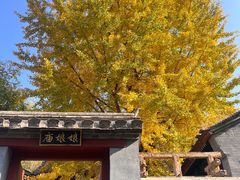 -水峪民俗村