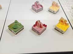-BLACKSWAN黑天鹅(环球店)