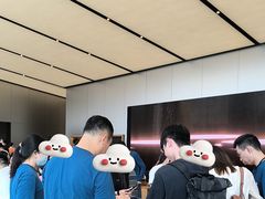 -Apple零售店(天环广场店)