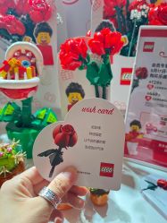 -乐高授权专卖店(朝阳大悦城店)