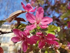 -皇城根遗址公园-东安门遗址