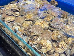 -万宝海鲜舫(劳动公园店)