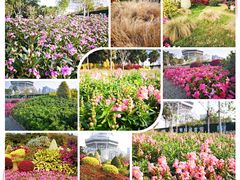 -文华公园(禅城区)