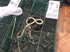 -荔城生鲜盛宴(番禺旗舰店)