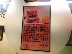 -猫咪博物馆(顶澳仔猫街店)