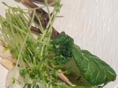 -牛YO寿喜烧·铁板烧和牛火锅自助(市府恒隆店)