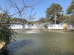 -江心屿景区