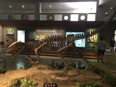 -自贡恐龙博物馆