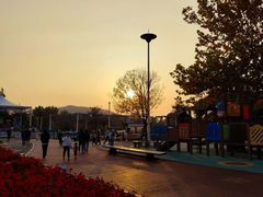 -羊亭河湿地公园